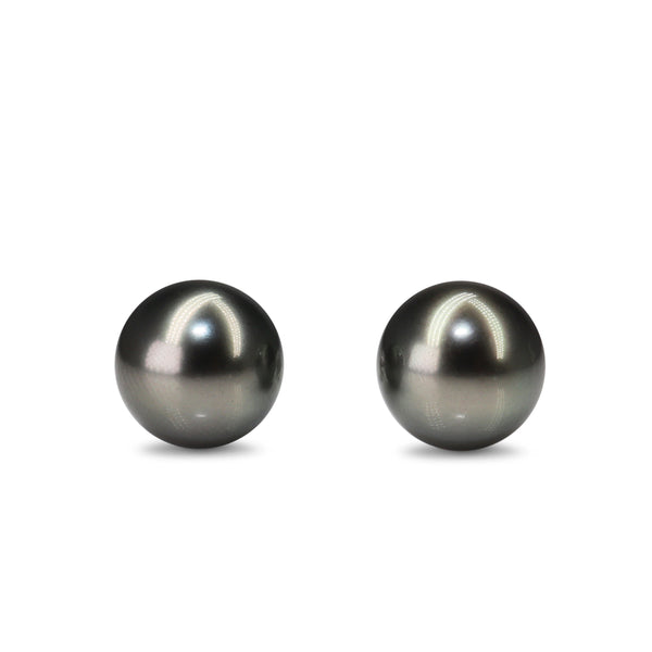 14ct White Gold 10mm Tahitian Pearl Stud Earrings