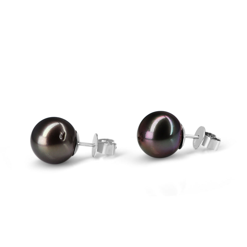 14ct White Gold 10mm Tahitian Pearl Stud Earrings