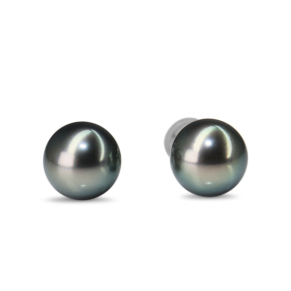 18ct White Gold Tahitian 9.5mm Pearl Stud Earrings