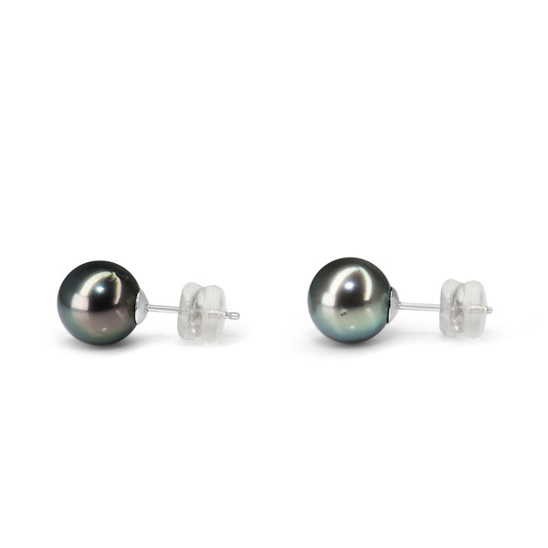18ct White Gold Tahitian 9.5mm Pearl Stud Earrings