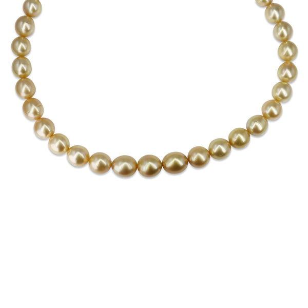10 - 12.5mm South Sea Golden Pearl Strand on 18ct Yellow Gold Clasp