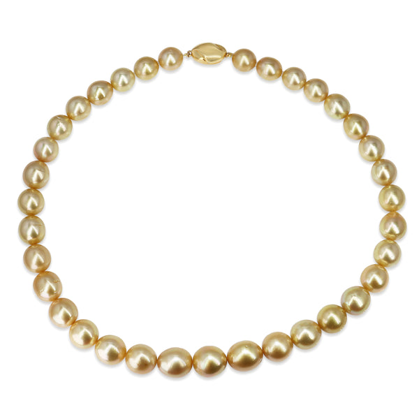 10 - 12.5mm South Sea Golden Pearl Strand on 18ct Yellow Gold Clasp