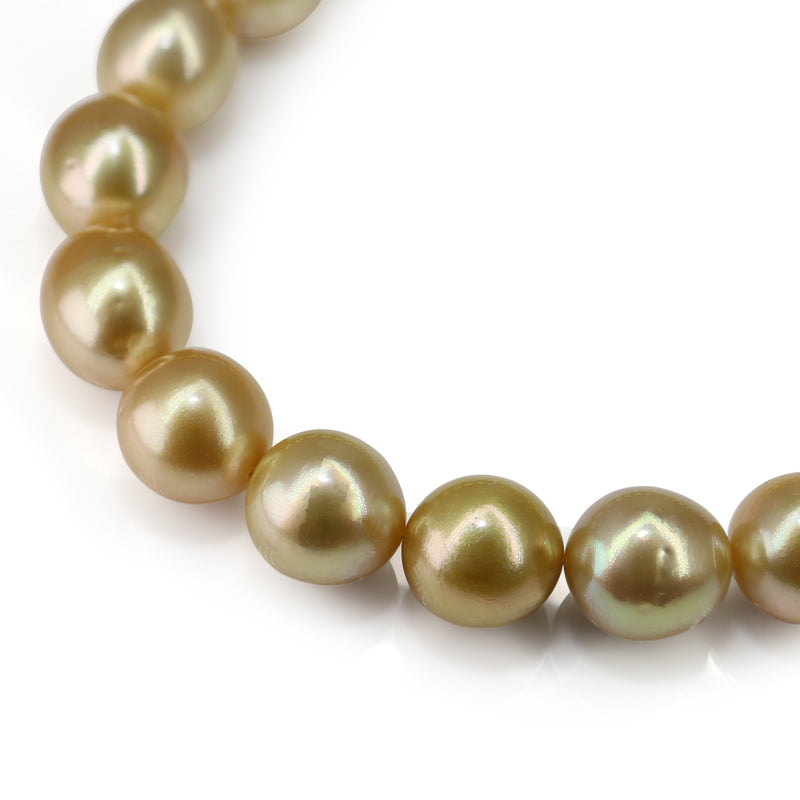 10 - 12.5mm South Sea Golden Pearl Strand on 18ct Yellow Gold Clasp