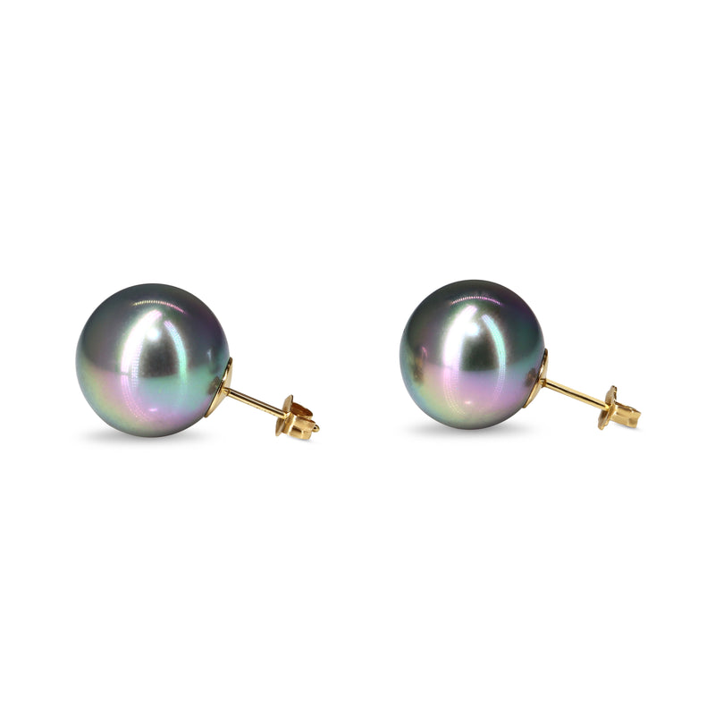 14ct Yellow Gold 14mm Tahitian Pearl Stud Earrings