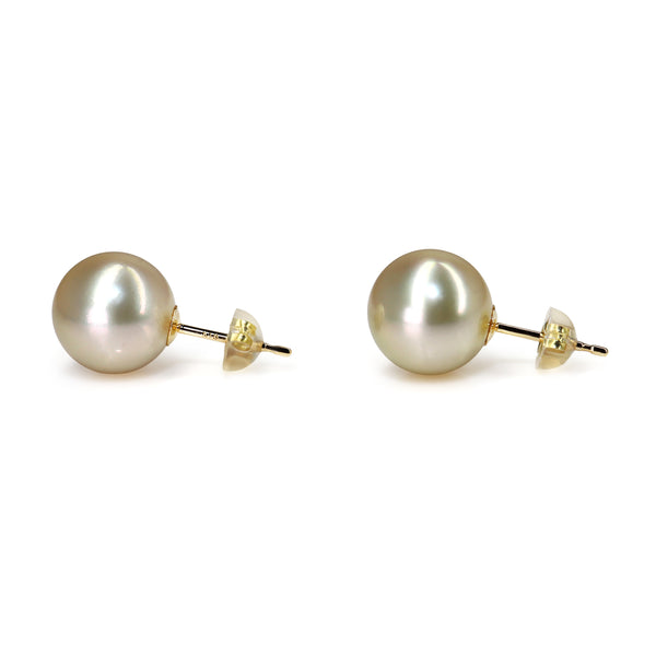 18ct Yellow Gold Golden 10.7mm South Sea Pearl Stud Earrings