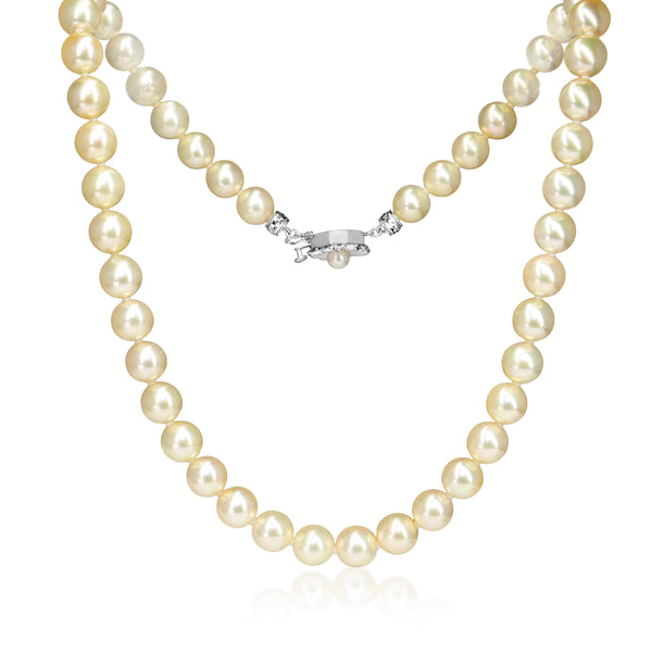 14ct White Gold Light Yellow 8.7 - 9mm Akoya Pearl Necklace