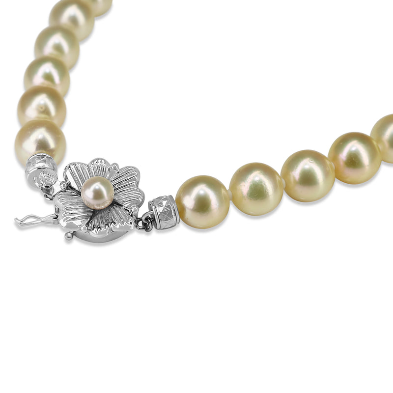 14ct White Gold Light Yellow 8.7 - 9mm Akoya Pearl Necklace