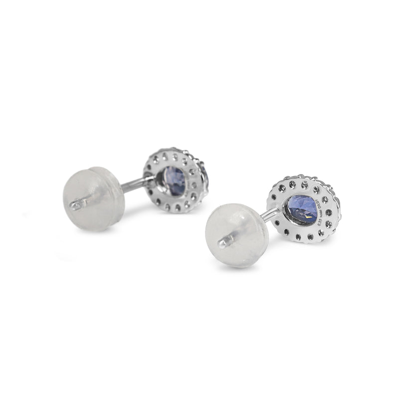 Platinum Sapphire and Diamond Halo Stud Earrings