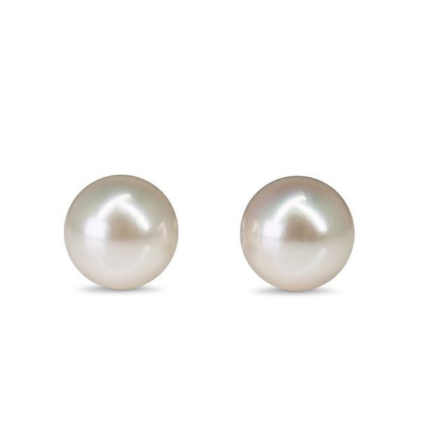 14ct White Gold 8mm Akoya Pearl Stud Earrings