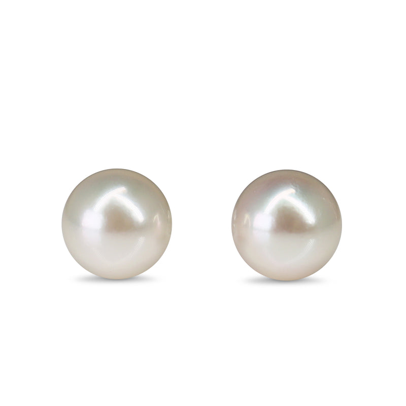 14ct White Gold 8mm Akoya Pearl Stud Earrings