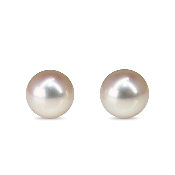 14ct White Gold 8.2mm Akoya Stud Earrings