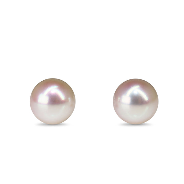 14ct White Gold 8.3mm Akoya Pearl Earrings