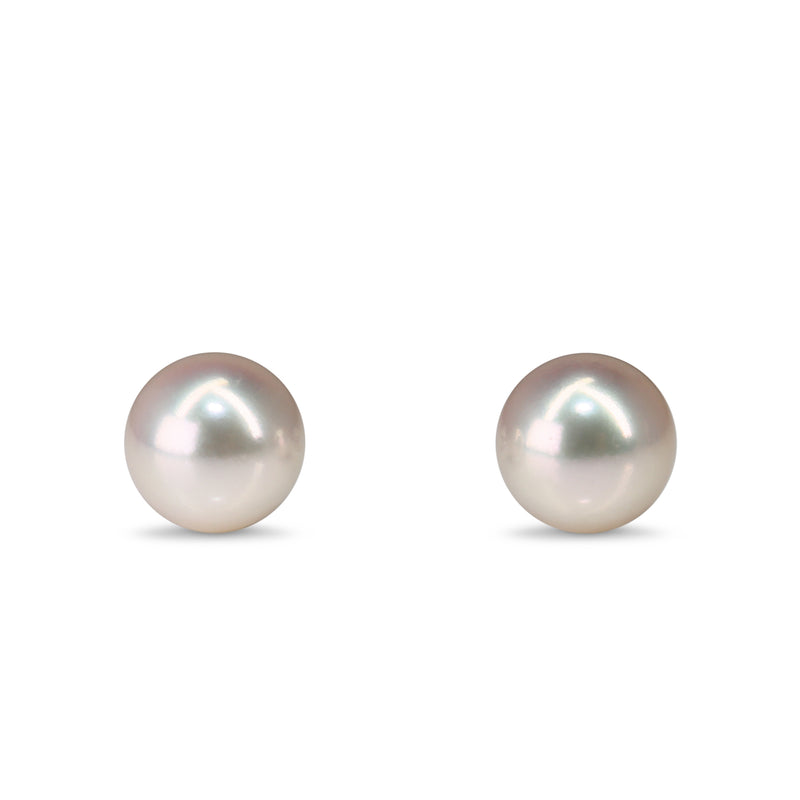14ct White Gold 8.7mm Akoya Pearl Stud Earrings