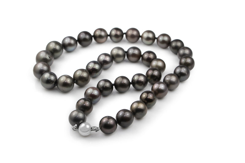 10 - 12mm Tahititan Pearl Necklace on 9ct White Gold Clasp