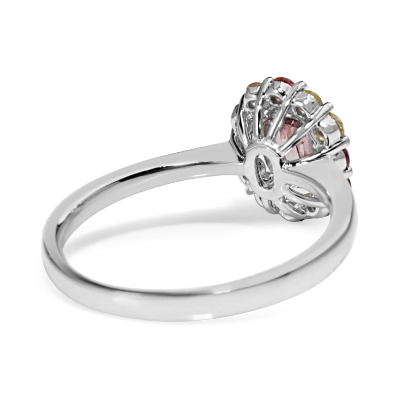 18ct White Gold All Sapphire Halo Ring